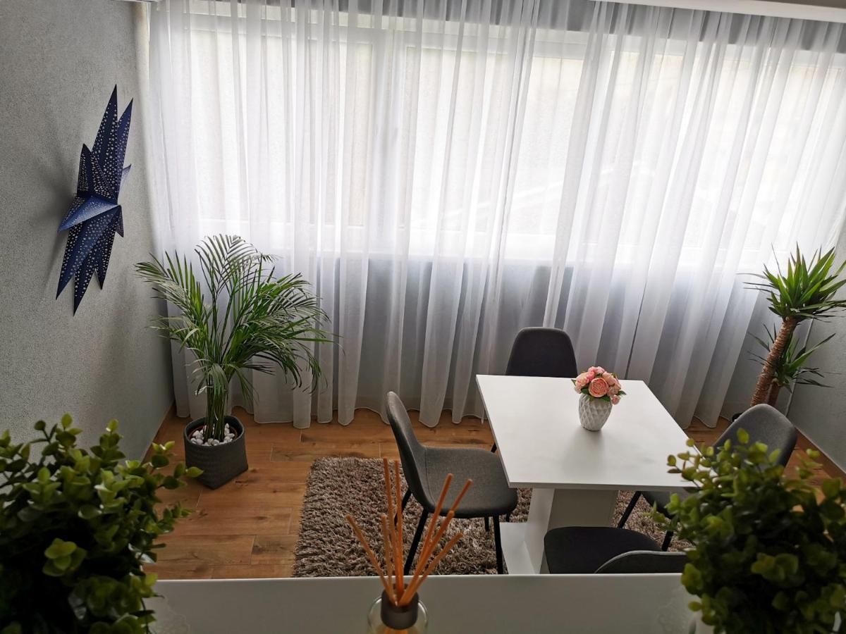 Canti Apartments نوفي ساد المظهر الخارجي الصورة